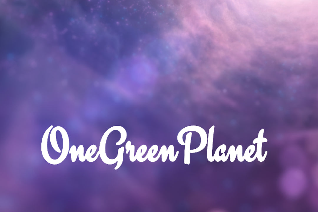 LOVO Chocolate Featured by One Green Planet